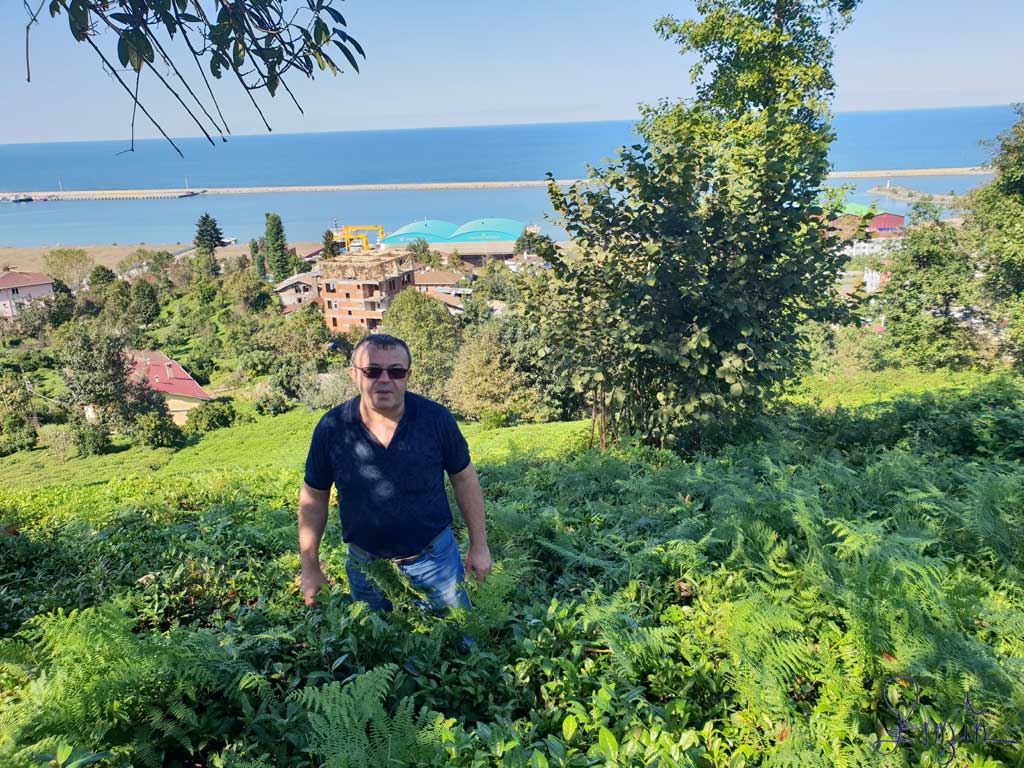 Kimdir Engin Koçali