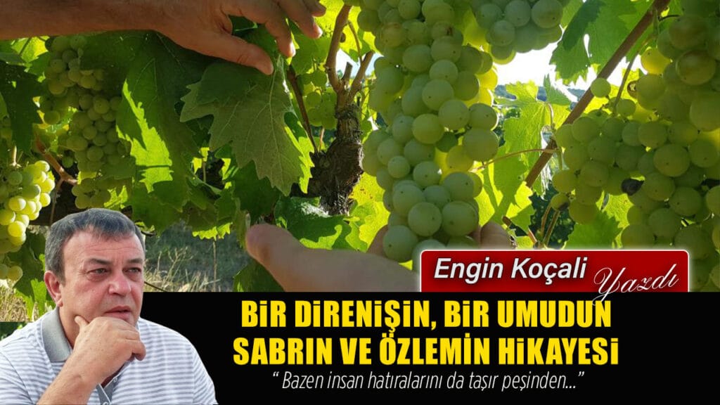 ANTALYA’DA KÖK SALAN HASRET: KARABÜK’ÜN ÇAVUŞ ÜZÜMÜ