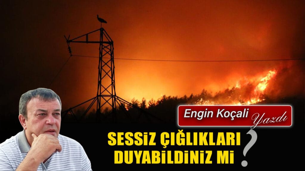 SESSİZ ÇIĞLIKLARI DUYABİLDİNİZ Mİ?